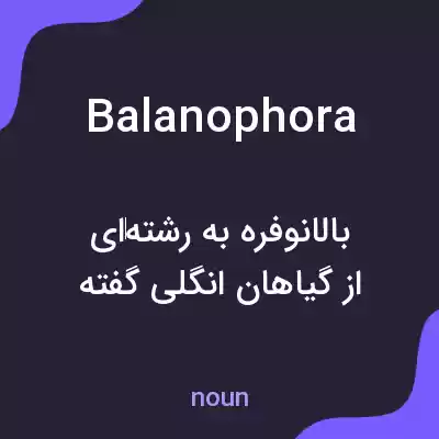 معنی balanophora به فارسی معنی balanophora به فارسی