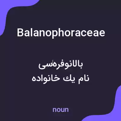 معنی balanophoraceae به فارسی معنی balanophoraceae به فارسی