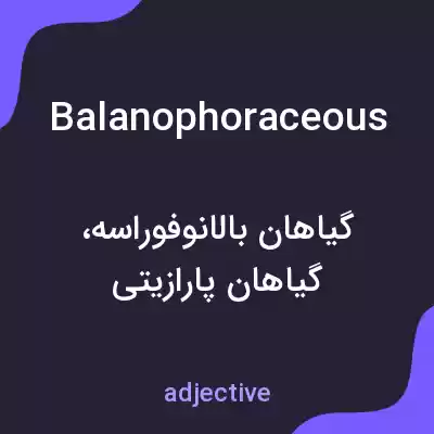 معنی balanophoraceous به فارسی معنی balanophoraceous به فارسی