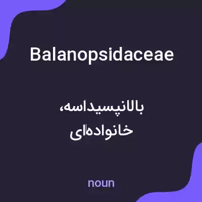 معنی balanopsidaceae به فارسی معنی balanopsidaceae به فارسی