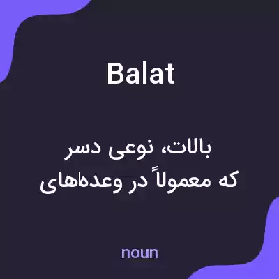 معنی balat به فارسی معنی balat به فارسی