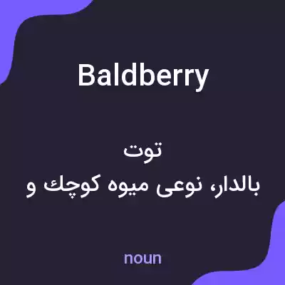 معنی baldberry به فارسی معنی baldberry به فارسی