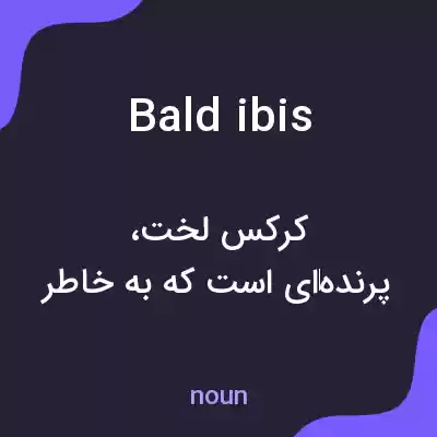 معنی bald ibis به فارسی معنی bald ibis به فارسی