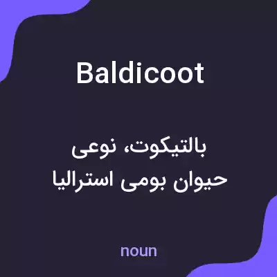 معنی baldicoot به فارسی معنی baldicoot به فارسی