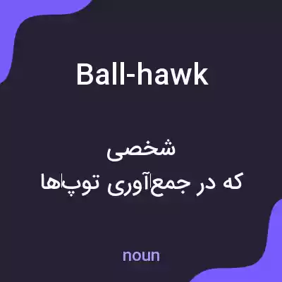 معنی ball-hawk به فارسی معنی ball-hawk به فارسی