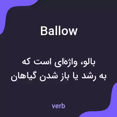 معنی ballow به فارسی معنی ballow به فارسی