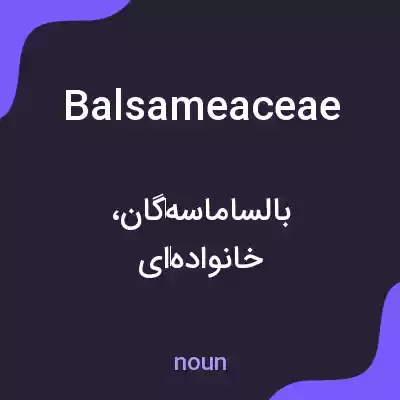 معنی balsameaceae به فارسی معنی balsameaceae به فارسی