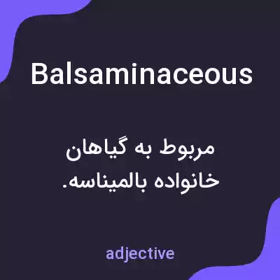 معنی balsaminaceous به فارسی معنی balsaminaceous به فارسی