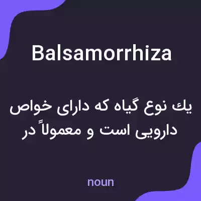 معنی balsamorrhiza به فارسی معنی balsamorrhiza به فارسی