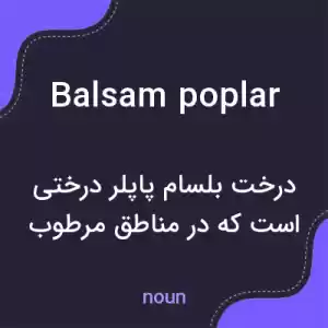 معنی balsam poplar به فارسی معنی balsam poplar به فارسی