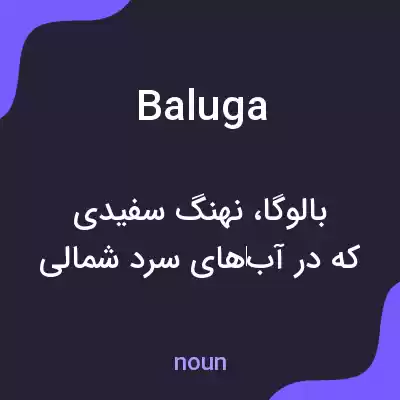 معنی baluga به فارسی معنی baluga به فارسی