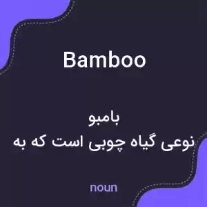 معنی bamboo به فارسی معنی bamboo به فارسی