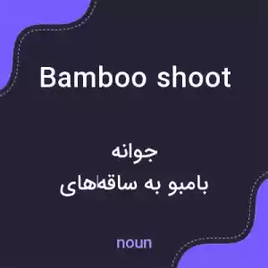 معنی bamboo shoot به فارسی