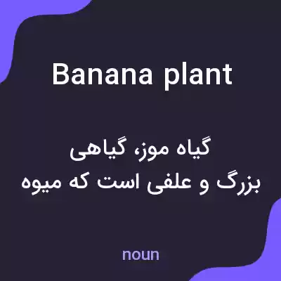 معنی banana plant به فارسی معنی banana plant به فارسی