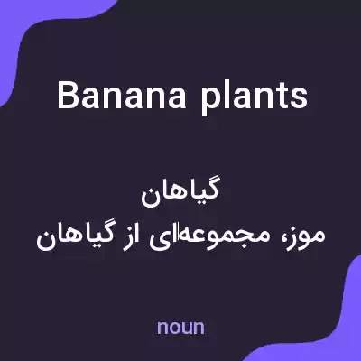 معنی banana plants به فارسی معنی banana plants به فارسی