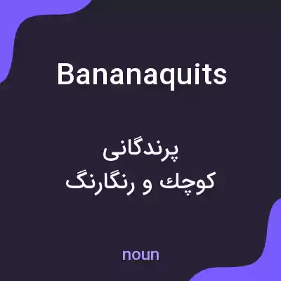 معنی bananaquits به فارسی معنی bananaquits به فارسی