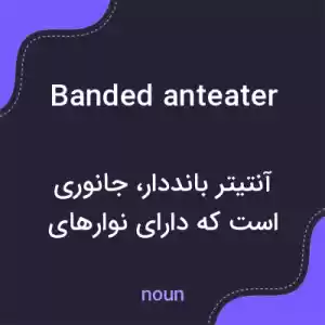 معنی banded anteater به فارسی معنی banded anteater به فارسی