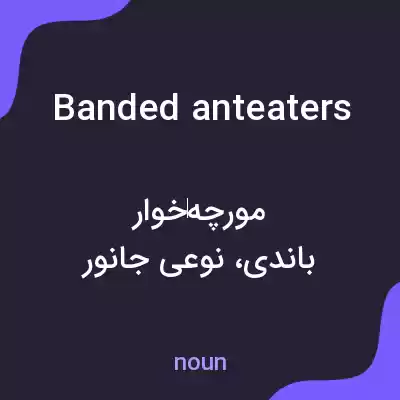 معنی banded anteaters به فارسی معنی banded anteaters به فارسی