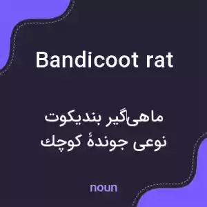 معنی bandicoot rat به فارسی معنی bandicoot rat به فارسی
