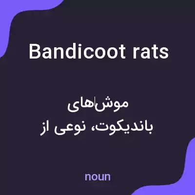 معنی bandicoot rats به فارسی معنی bandicoot rats به فارسی