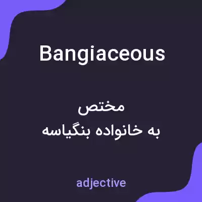معنی bangiaceous به فارسی معنی bangiaceous به فارسی