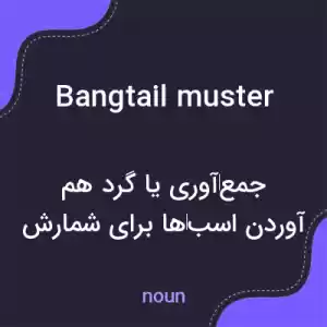 معنی bangtail muster به فارسی معنی bangtail muster به فارسی