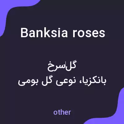معنی banksia roses به فارسی معنی banksia roses به فارسی