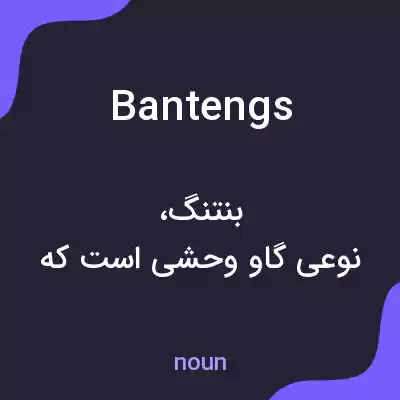 معنی bantengs به فارسی معنی bantengs به فارسی
