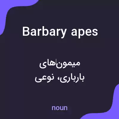 معنی barbary apes به فارسی معنی barbary apes به فارسی