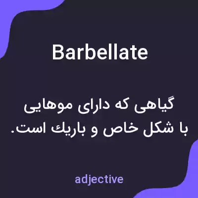 معنی barbellate به فارسی معنی barbellate به فارسی