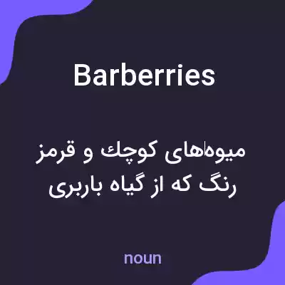 معنی barberries به فارسی معنی barberries به فارسی