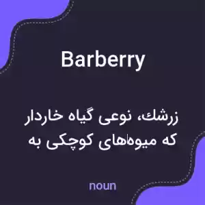 معنی barberry به فارسی معنی barberry به فارسی