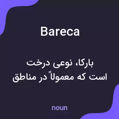 معنی bareca به فارسی معنی bareca به فارسی