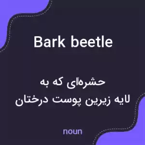 معنی bark beetle به فارسی معنی bark beetle به فارسی