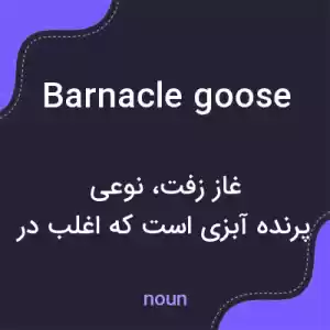 معنی barnacle goose به فارسی