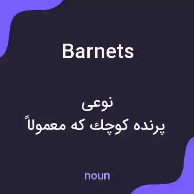 معنی barnets به فارسی