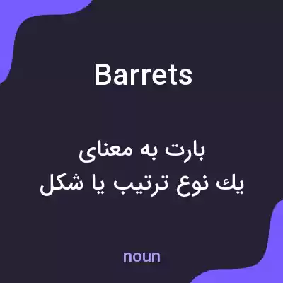 معنی barrets به فارسی معنی barrets به فارسی
