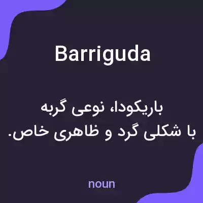معنی barriguda به فارسی معنی barriguda به فارسی