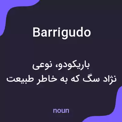 معنی barrigudo به فارسی معنی barrigudo به فارسی