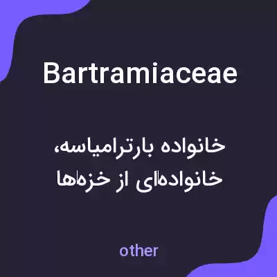 معنی bartramiaceae به فارسی معنی bartramiaceae به فارسی