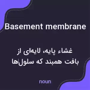 معنی basement membrane به فارسی معنی basement membrane به فارسی