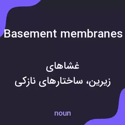 معنی basement membranes به فارسی معنی basement membranes به فارسی