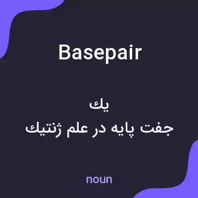 معنی basepair به فارسی معنی basepair به فارسی