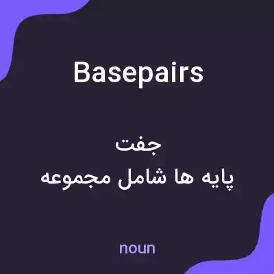 معنی basepairs به فارسی معنی basepairs به فارسی