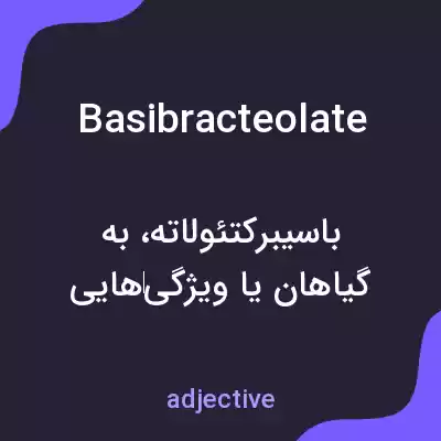 معنی basibracteolate به فارسی معنی basibracteolate به فارسی