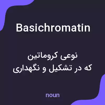 معنی basichromatin به فارسی معنی basichromatin به فارسی