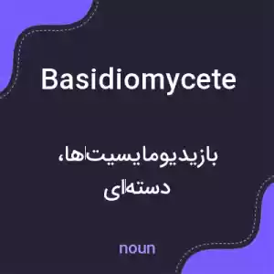 معنی basidiomycete به فارسی معنی basidiomycete به فارسی