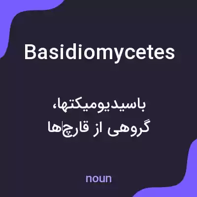 معنی basidiomycetes به فارسی معنی basidiomycetes به فارسی