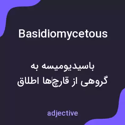 معنی basidiomycetous به فارسی معنی basidiomycetous به فارسی