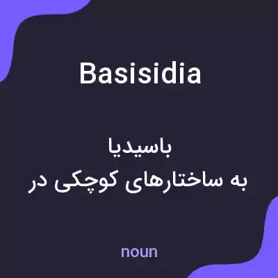 معنی basisidia به فارسی